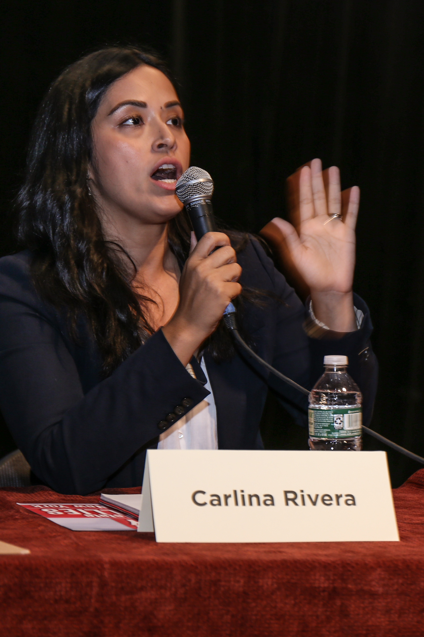 District 2 candidates make their case to be Mendez’s successor 4