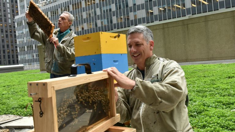 Beekeeper Andrew Cote and his dad Norm, left, will help care for more than 400,000 honeybees on the roof of the Midtown Hilton hotel.
