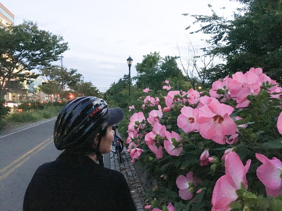 Feeling in the pink on bike paths 1