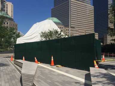 sphere-at-liberty-park-2017-08-24-pic2DEPRINT_WEBWEB