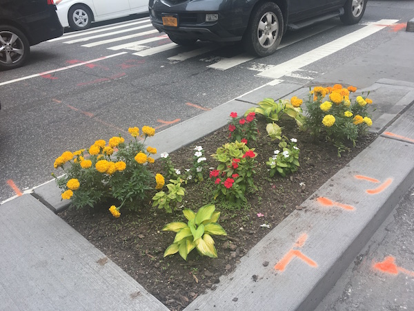 Mulch Ado About Sixth Avenue Micro-Gardens 6