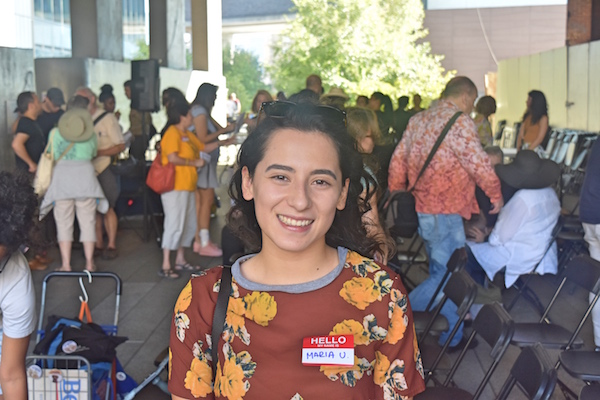 On a Hot High Line Afternoon, Participatory Budgeting Gathers Steam 6