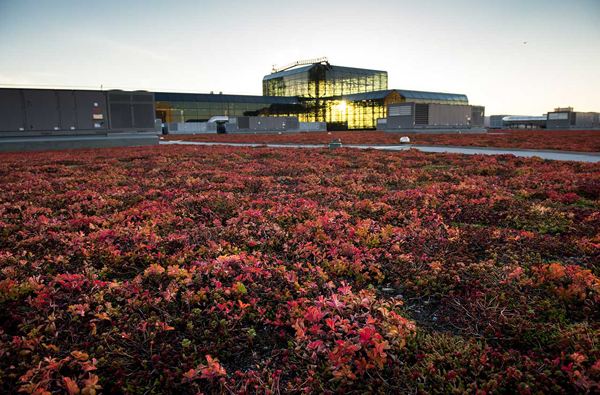 Atop Javits Center, The Habitat That Roof Built 4