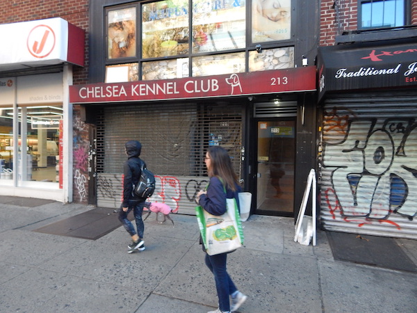 Movin’ Out: UCB Heads to Hell’s Kitchen, Kennel Club Shutters After Scandal 3
