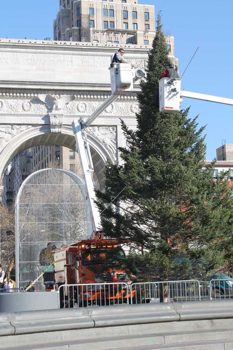 christmas-tree-washington-square-2017-11-3-v,VIL,PRINT_WEB,WEB