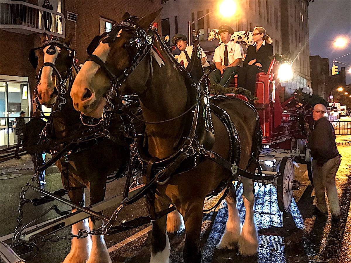 budweiserrrr-clydesdales-2017-12-14-v,VIL,PRINT_WEB,WEB