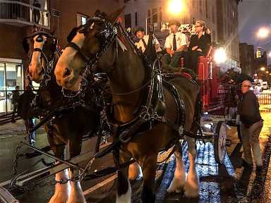 budweiserrrr-clydesdales-2017-12-14-v,VIL,PRINT_WEB,WEB