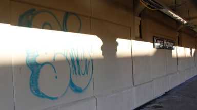 AMNWGRAF0207_WEB
