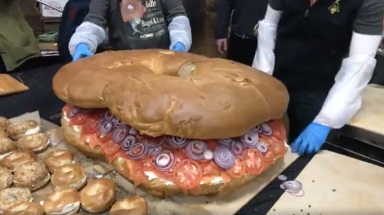 AMNWBAGEL