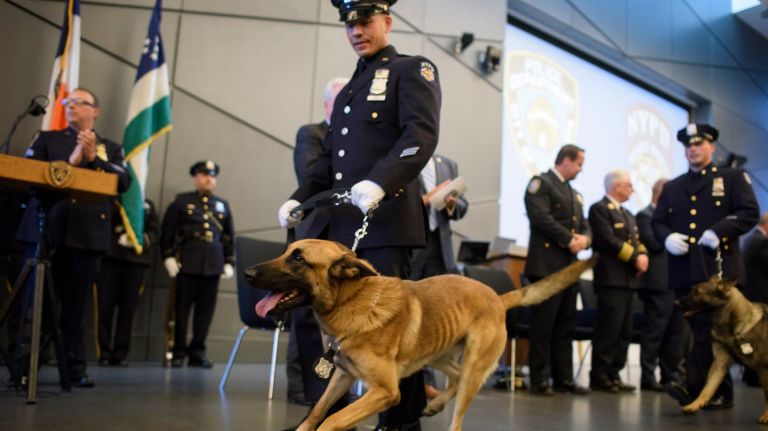 NYPD's Transit Bureau graduated a new class of trained canines -- all of them named for fallen officers -- in Queens on Tuesday, June 12, 2018. 