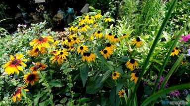 Brooklyn street named ‘Greenest Block’