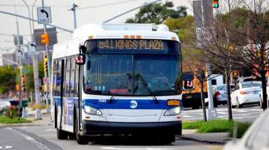 AMNWBUS180921_WUB_WEB
