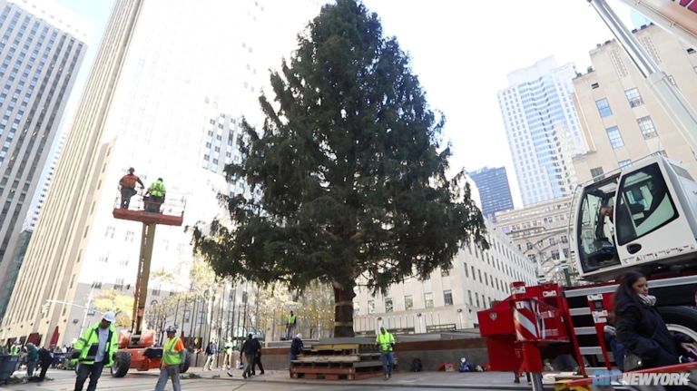 Rockefeller Center Christmas tree goes up