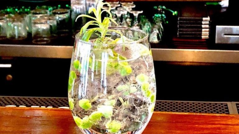 How NYC's mixologists make mean 'mocktails' without the booze 6 A Seedlip Garden tonic at Adriaen Block, made with Seedlip, a non-alcoholic spirit.