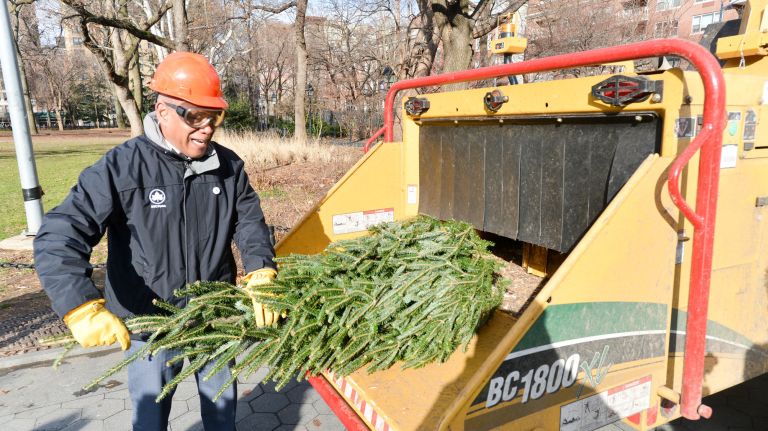 NYC Parks Commissioner Mitchell Silver demonstrates use of a chipper to recycle Christmas trees as part of an event promoting&nbsp;the city's annual Mulchfest.
