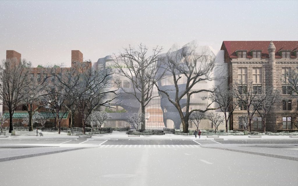 Museum plan in ‘limb-o’ over tree impact 2