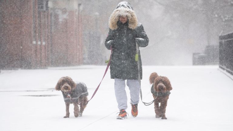 NYC weather: Snow, sleet and rain slowly move out of area 3 A woman walks her dogs in Tompkins Square Park in the East Village during Wednesday's snowstorm.