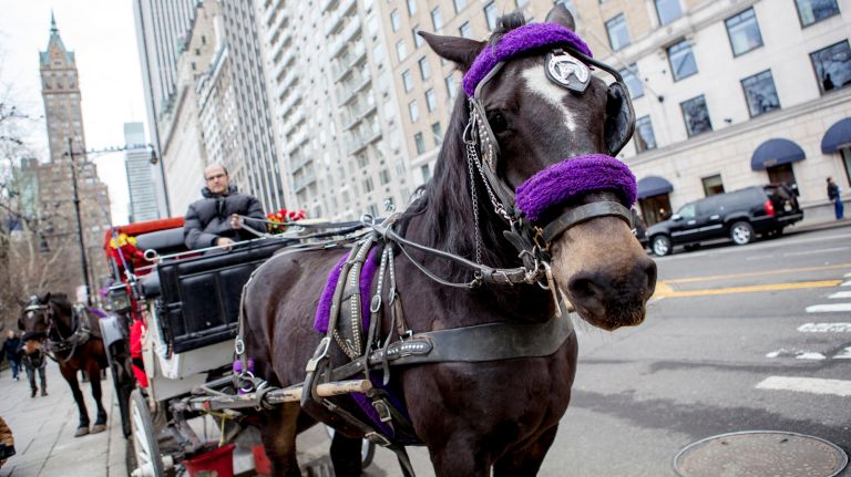 Horse-drawn carriages will be required to pick up and drop off passengers inside Central Park, rather than on the street.