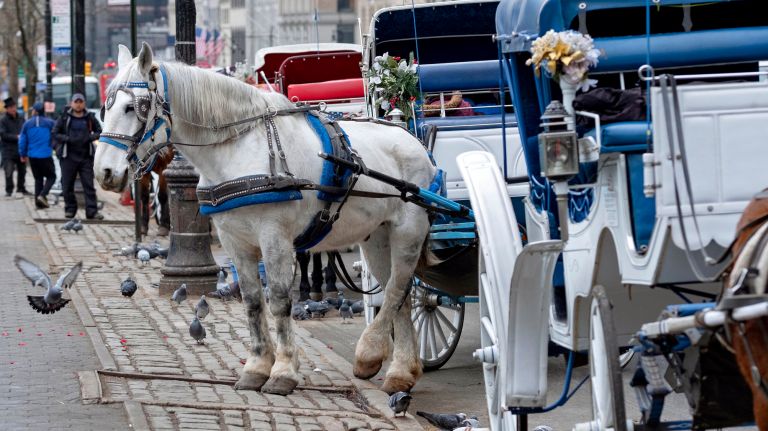 Horse-drawn carriage&nbsp;pickup and drop-off locations will be moved inside Central Park, per a new rule in effect Friday.