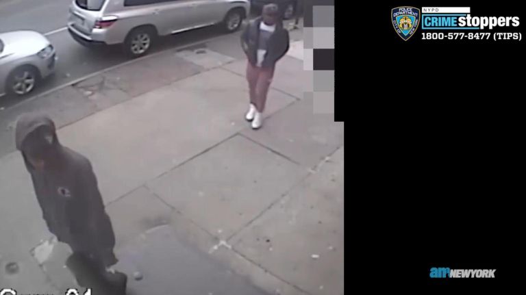 Police seek suspects in fatal shooting of Brooklyn teen