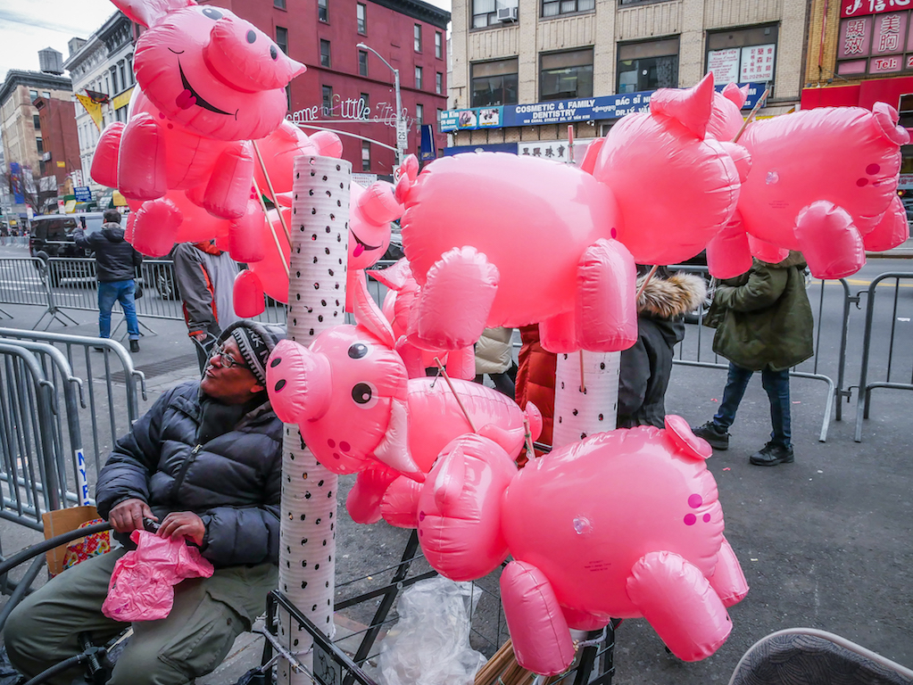 Pigs were big at Lunar New Year Parade 1