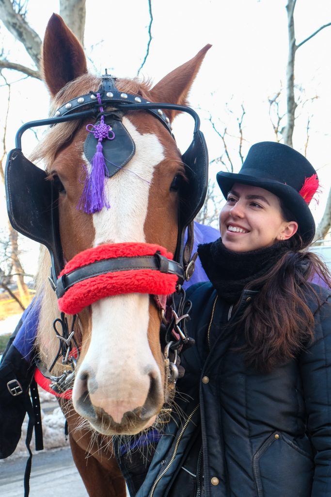 Activists hail horses’ move to park; Hacks unhappy 3