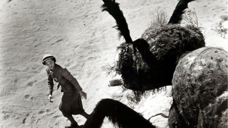 'Us' vs. 'Them!': Pronoun horror flicks face off 3 "Them!"