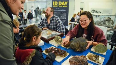 Experts from the American Museum of Natural History are hosting the annual Identification Day on Saturday, March 23.  