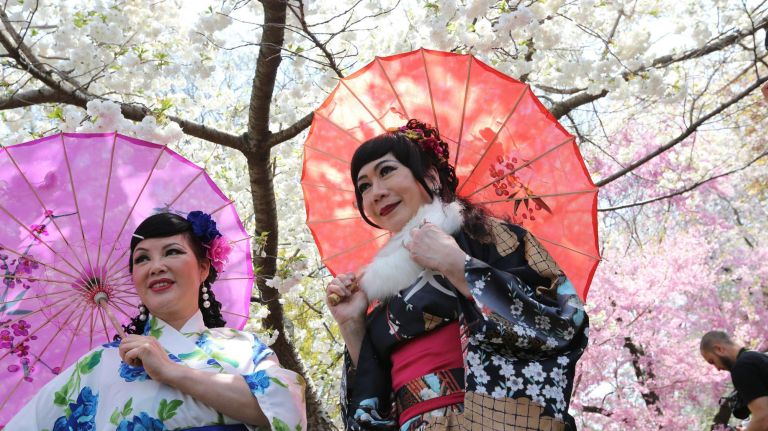 Diana Lai, left, and Sharon Lee, of Flushing, under the cherry blossoms at the Sakura Matsuri festival at the Brooklyn Botanic Garden, April 28, 2018.