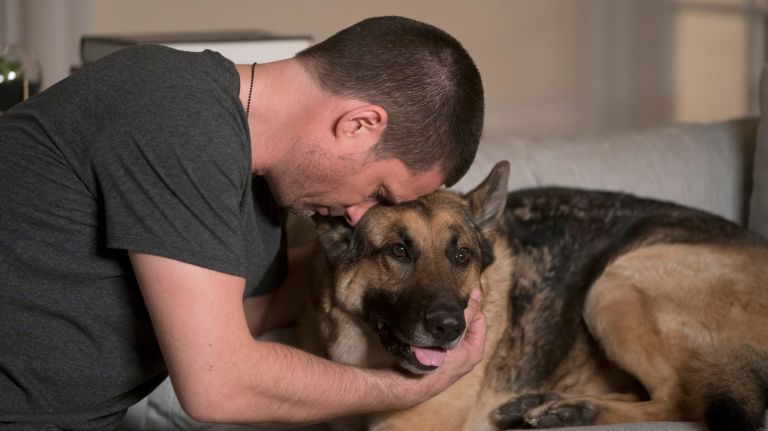 NBC's 'The Village' creates an 'ideal world' inside a Brooklyn apartment building 3 Warren Christie shares screen time with K9 actor, Magnum, in "The Village."