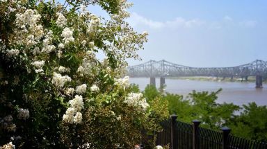 Natchez is right on the Mississippi River.