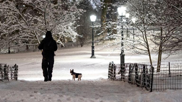 AMNWSNOW190305