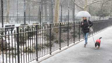 amnwsnow190302_photos