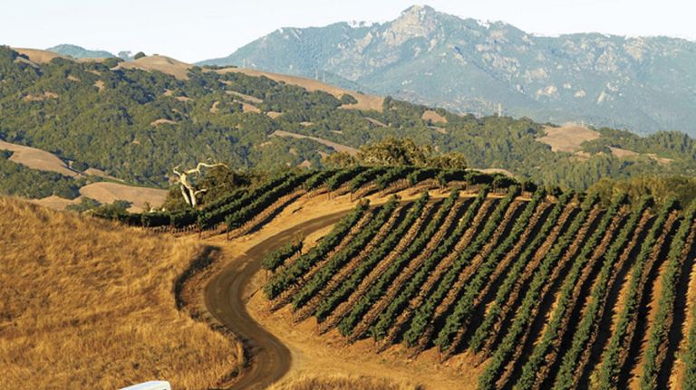 Jordan Vineyard & Winery is one of the most well-known wineries in Healdsburg.