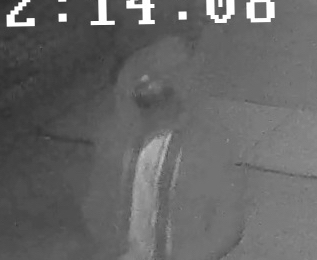 7 Ave Robbery (2) copy