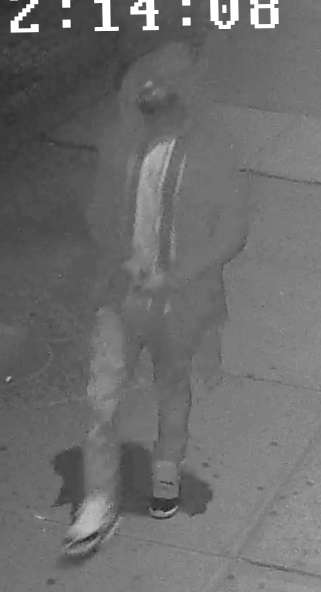 Police Blotter (Chelsea Now), Week of April 4, 2019 3