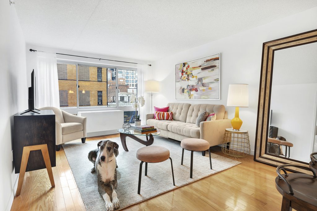 Doggone it! A home for you and furry friend 3