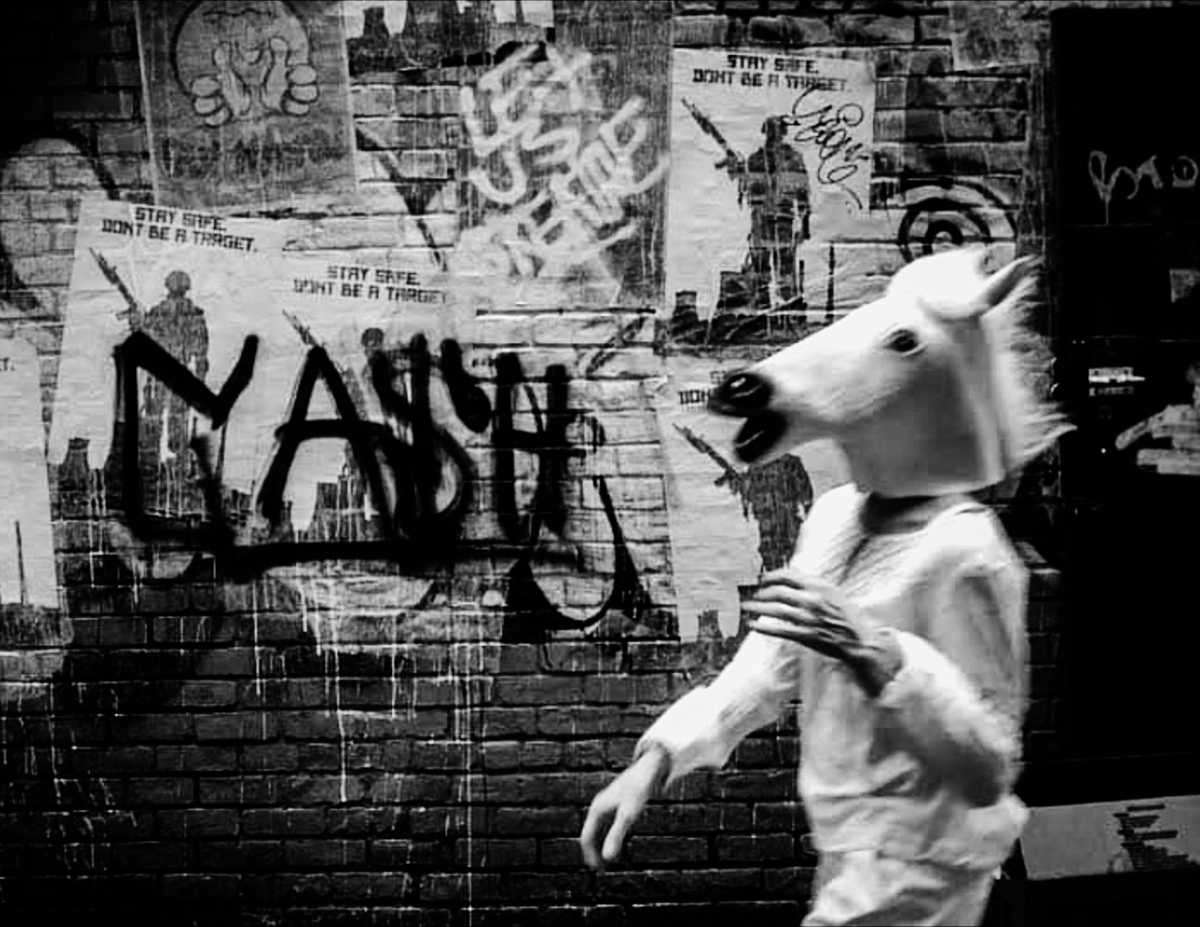 Image from Daniel Efram’s book “Curiousities”