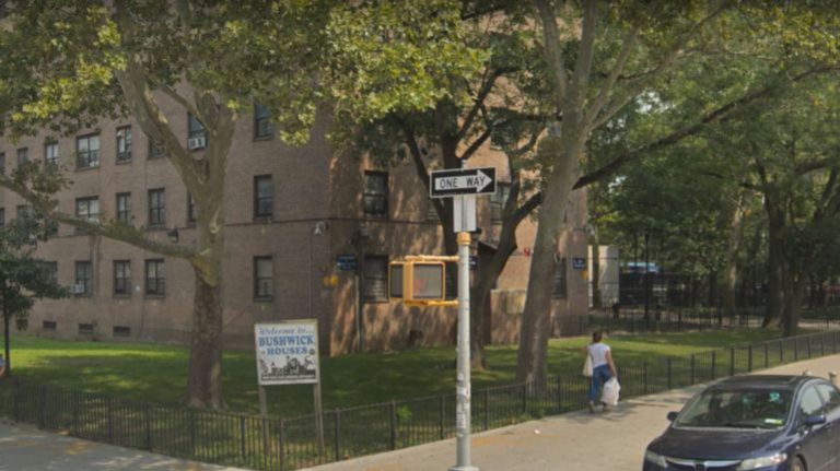 A 20-year-old woman was killed in an apartment at the Bushwick Houses on Saturday.  