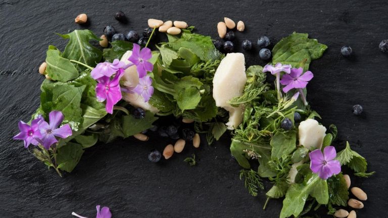 NYC restaurant menus are blooming with edible flowers this spring 2 Dirt Candy's Forager Salad includes edible roots, leaves and flowers.