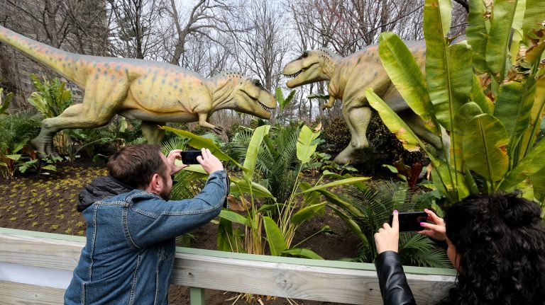 zoo and dinosaur park