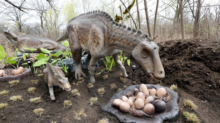 A Maiasaura tends to her&nbsp;offspring at the Dinosaur Safari at the Bronx Zoo.