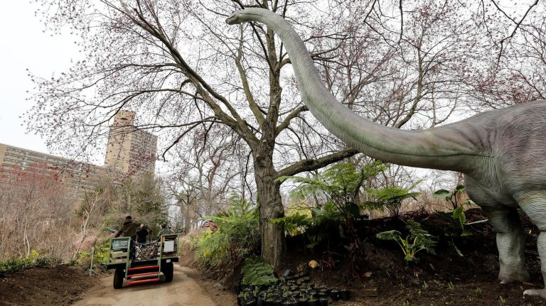 An Omeisaurus "watches" from above at the Dinosaur Safari at the Bronx Zoo.