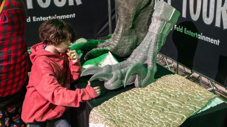 Xander Aucone, age 8, from Lynbrook, checks out the models at the preview on Wednesday.