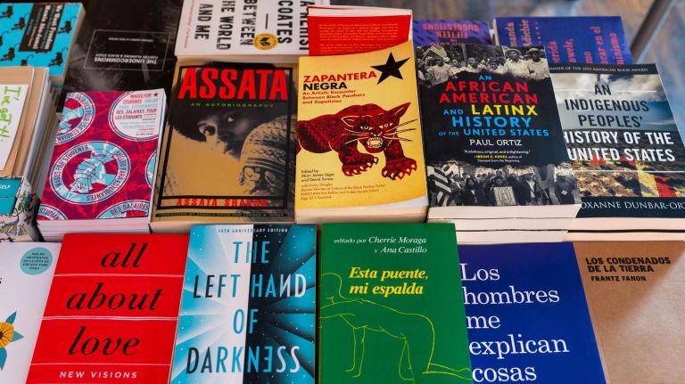 Bilingual bookstore, Mil Mundos, opens in Brooklyn with focus on black and Latinx heritage 4 About half of the books at Mil Mundos are in Spanish.
