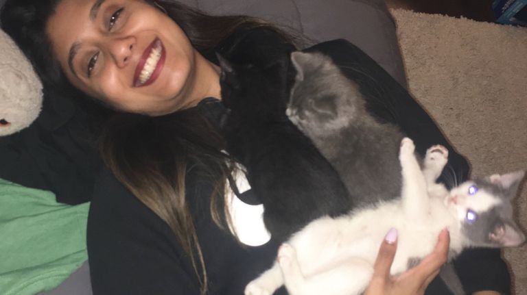 These 42 volunteers are fostering 90 young NYC cats for the ASPCA 3 Roberta Lobo of Murray Hill recently took in five kittens.