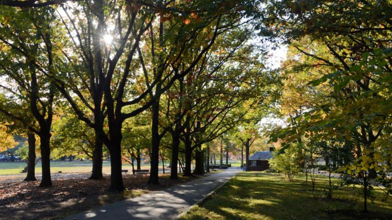 The best NYC parks for outdoor grilling 4 Alley Pond Park in Queens provides a serene setting for picnics with the family and includes the Alley Pond Adventure Course, which has rock climbing and zip lining.