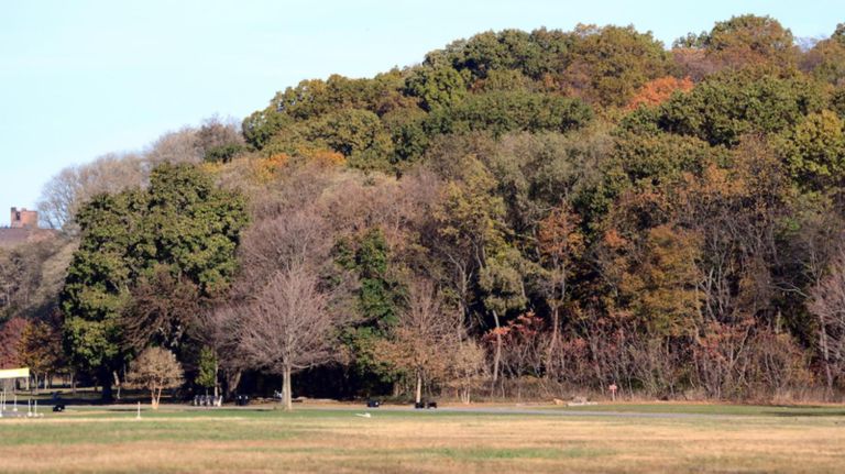 The best NYC parks for outdoor grilling 2 Van Cortlandt Park in the Bronx offers 1,000-plus acres with a public golf course, freshwater lake, sports areas, and, of course, plenty of barbecue sites.