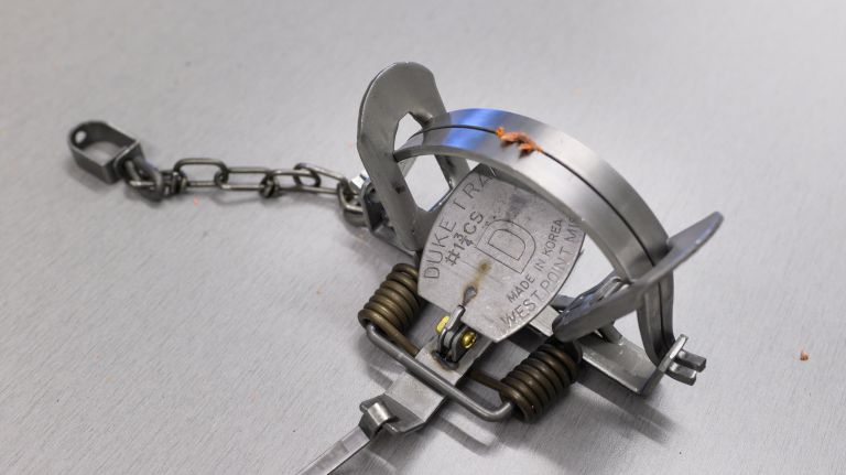 Proposed NYC fur ban inspires hope in animal activists, dread within garment industry 2 Leg traps, like the one pictured here, are often used to capture animals, according to PETA senior vice president Dan Mathews.