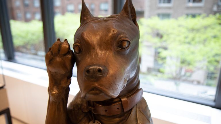 Sgt. Stubby, among the&nbsp;U.S. Army's first service dogs, is heading to the AKC Museum of the Dog via this bronze statue.